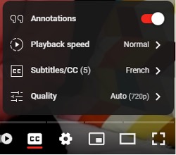 Subtitles